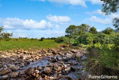 Farm For Sale - NSW - Jaspers Brush - 2535 - Devine on Devitts!!!  (Image 2)