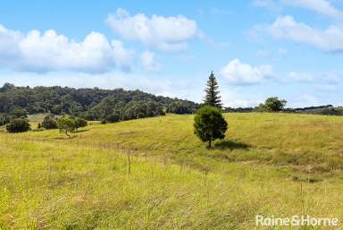 Farm For Sale - NSW - Jaspers Brush - 2535 - Devine on Devitts!!!  (Image 2)