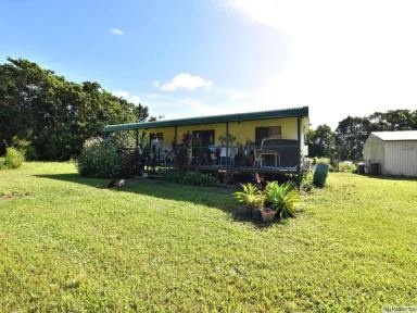 Farm Sold - QLD - East Feluga - 4854 - COSY HOME WITH A GREAT SHED  (Image 2)