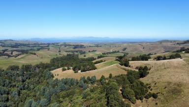 Farm Sold - VIC - Mount Best - 3960 - Panoramic views, planning permit  (Image 2)