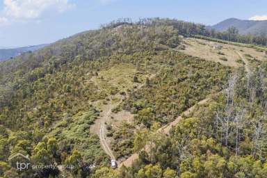 Farm Sold - TAS - Wattle Grove - 7109 - On Point Views  (Image 2)