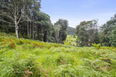 Farm Sold - TAS - Franklin - 7113 - Peaceful And Private  (Image 2)