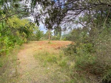 Farm Sold - TAS - Dover - 7117 - Endless Opportunities  (Image 2)