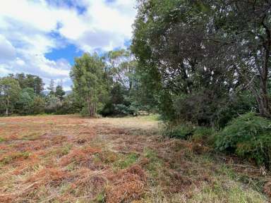 Farm Sold - TAS - Dover - 7117 - Endless Opportunities  (Image 2)