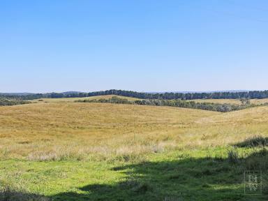 Farm Sold - NSW - Paddys River - 2577 - Vacant Grazing Land  (Image 2)