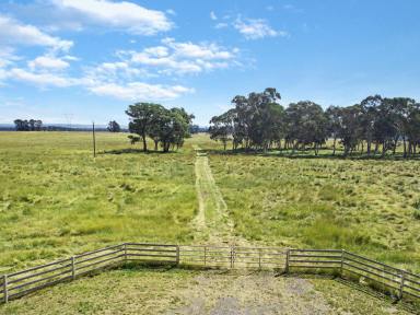 Farm Sold - NSW - Paddys River - 2577 - Vacant Grazing Land  (Image 2)