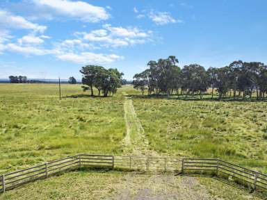 Farm Sold - NSW - Paddys River - 2577 - Vacant Grazing Land  (Image 2)