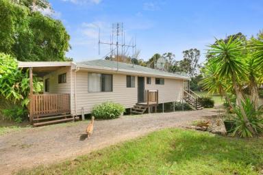 Farm Sold - QLD - Widgee - 4570 - TIRED OF CITY LIVING  (Image 2)