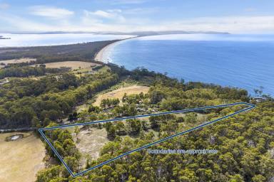 Farm Sold - TAS - Adventure Bay - 7150 - Elevated Ocean, Mountain and Channel Views Close to Adventure Bay Beach!  (Image 2)