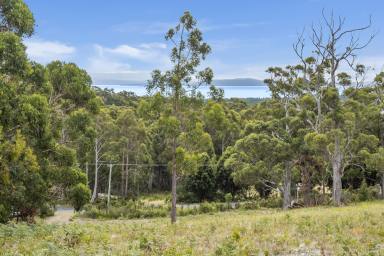 Farm Sold - TAS - Adventure Bay - 7150 - Elevated Ocean, Mountain and Channel Views Close to Adventure Bay Beach!  (Image 2)