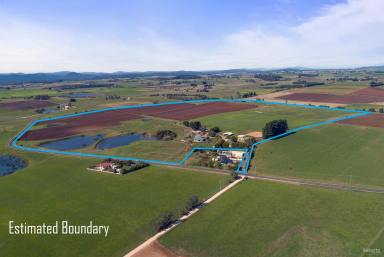 Farm Sold - TAS - Moriarty - 7307 - Superb Rural Investment  (Image 2)