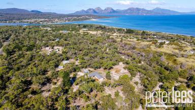 Farm Sold - TAS - Dolphin Sands - 7190 - Another Property SOLD SMART By The Team At Peter Lees Real Estate  (Image 2)