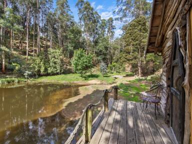 Farm Sold - VIC - Mirboo - 3871 - Prepare to fall in love with this picture perfect property  (Image 2)