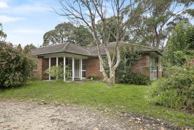 Farm Sold - NSW - Berrima - 2577 - Attention Equine Enthusiasts  (Image 2)