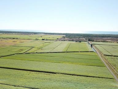 Farm For Sale - QLD - Welcome Creek - 4670 - OPPORTUNITY KNOCKS!  With 146megs of Water, Close to Moore Park Beach.  (Image 2)