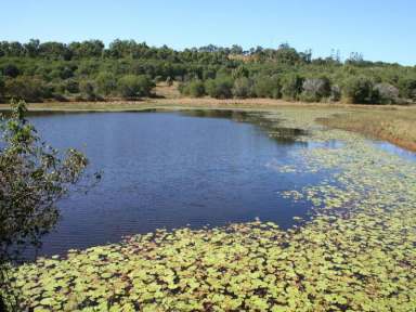 Farm For Sale - QLD - Childers - 4660 - PERFECT PLACE TO START A NEW LAND DEVELOPMENT  (Image 2)