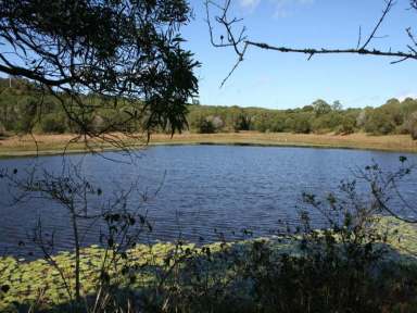 Farm For Sale - QLD - Childers - 4660 - PERFECT PLACE TO START A NEW LAND DEVELOPMENT  (Image 2)