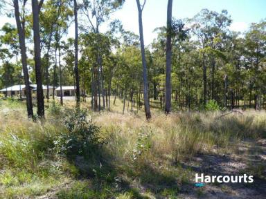 Farm For Sale - QLD - South Isis - 4660 - 6 ACRES WITH VIEWS  (Image 2)