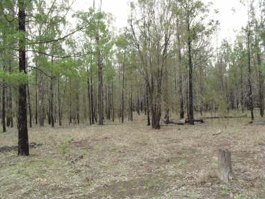 Farm Sold - QLD - Weranga - 4405 - Vacant land 30 min from Tara  (Image 2)