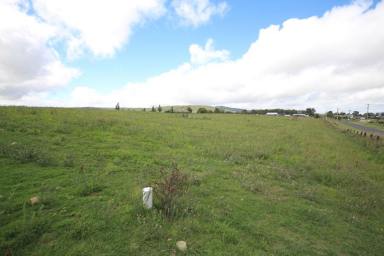 Farm Sold - NSW - Tenterfield - 2372 - Last Block Available.....  (Image 2)