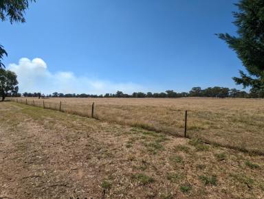 Farm Sold - NSW - Berrigan - 2712 - Expression of Interest on 78 Acres of land in Berrigan  (Image 2)