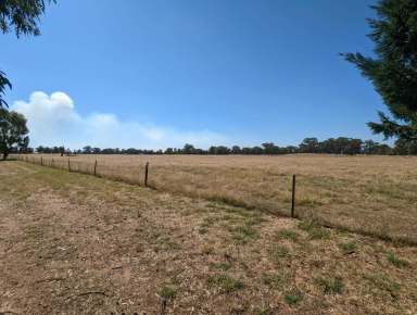 Farm Sold - NSW - Berrigan - 2712 - Expression of Interest on 78 Acres of land in Berrigan  (Image 2)