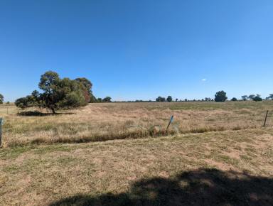 Farm Sold - NSW - Berrigan - 2712 - Expression of Interest on 78 Acres of land in Berrigan  (Image 2)
