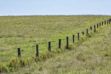 Farm Sold - NSW - Grafton - 2460 - 'Terradei' - Elevated Grafton Acreage on the City's doorstep  (Image 2)