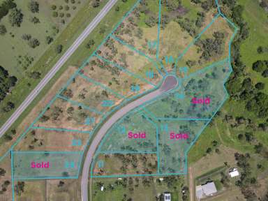 Farm For Sale - QLD - Nome - 4816 - 6,564SQM of Paradise!  (Image 2)