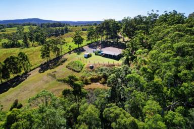 Farm For Sale - NSW - North Wootton - 2423 - STUNNING RURAL RETREAT  (Image 2)