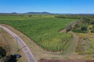 Farm Sold - QLD - Inkerman - 4806 - 83 Acre Irrigation Farm - Home Hill with Open Water  (Image 2)