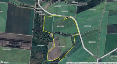 Farm Sold - QLD - Inkerman - 4806 - 83 Acre Irrigation Farm - Home Hill with Open Water  (Image 2)