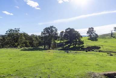 Farm Sold - WA - Bridgetown - 6255 - SPECTACULAR FARM  (Image 2)