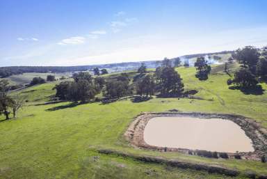 Farm Sold - WA - Bridgetown - 6255 - SPECTACULAR FARM  (Image 2)