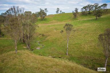 Farm Sold - NSW - Greendale - 2550 - STUNNING VIEWS - OFF GRID LIVING  (Image 2)