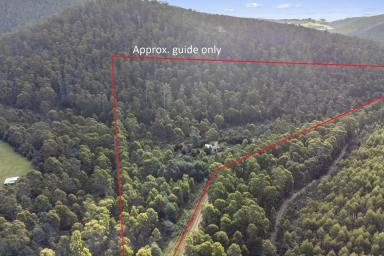Farm For Sale - TAS - Kellevie - 7176 - Secluded acreage, less than 10 minutes drive to beaches with bonus extras for getaways.  (Image 2)