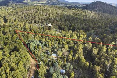 Farm For Sale - TAS - Kellevie - 7176 - Secluded acreage, less than 10 minutes drive to beaches with bonus extras for getaways.  (Image 2)