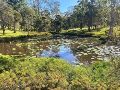 Farm Sold - NSW - Killabakh - 2429 - ACREAGE & LIFESTYLE  (Image 2)