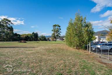 Farm Sold - TAS - Huonville - 7109 - In the Heart of Huonville  (Image 2)