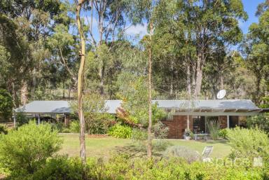 Farm Sold - WA - Margaret River - 6285 - Country Masterpiece  (Image 2)