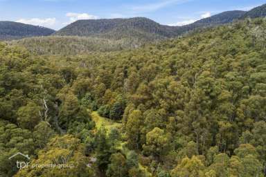 Farm Sold - TAS - Pelverata - 7150 - 85 Acres With Creek Frontage  (Image 2)