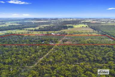 Farm For Sale - QLD - Walligan - 4655 - EXTRAORDINARY OPPORTUNITY - 39.5 ACRES JUST 7 MINUTES FROM HERVEY BAY AND RIGHT BY THE BEACH! THE PERFECT DEVELOPMENT PROPERTY!  (Image 2)