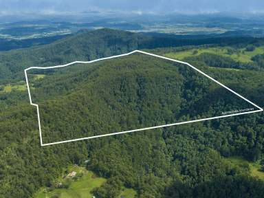 Farm Sold - NSW - Boorabee Park - 2480 - Go Up And Go Wild - AUCTION 14TH MAY 11am  (Image 2)