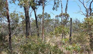 Farm Sold - QLD - Millstream - 4888 - High in the Hills Private 11 acres  (Image 2)