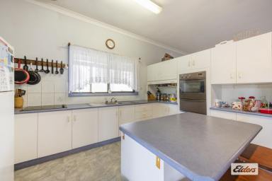 Farm Sold - NSW - Nymboida - 2460 - Quiet country living  (Image 2)