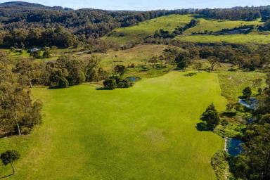 Farm Sold - NSW - Dorrigo - 2453 - A Breathtaking Mountain Beauty...  (Image 2)