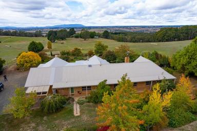 Farm Sold - VIC - Spring Hill - 3444 - “Lawn Wood” – Spring Hill  (Image 2)