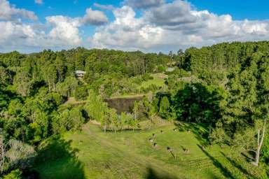 Farm Sold - QLD - Kin Kin - 4571 - Still Waters on 86 Glorious Acres  (Image 2)