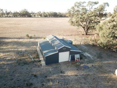 Farm Sold - NSW - Moama - 2731 - Exceptional Small Acreage Opportunity  (Image 2)