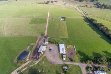 Farm Sold - VIC - Boisdale - 3860 - EXPRESSIONS OF INTEREST INVITED - QUALITY DAIRY FARM WITH SUPERIOR SOIL TYPE  (Image 2)